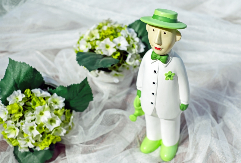 vente-MONTAUROUX-min_man-person-flower-green-toy-fig-546529-pxhere.com